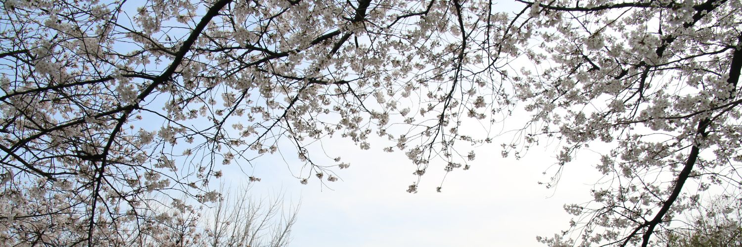 BonoHsieh's profile banner image