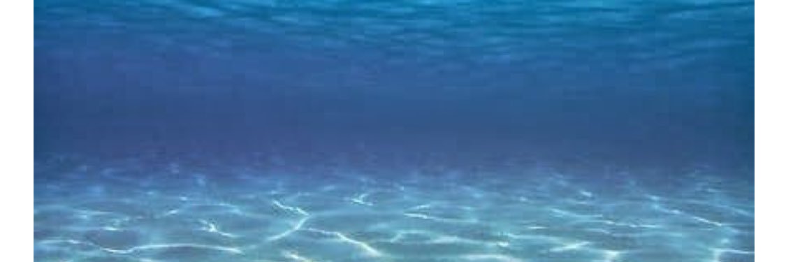 Jilaena's profile banner image