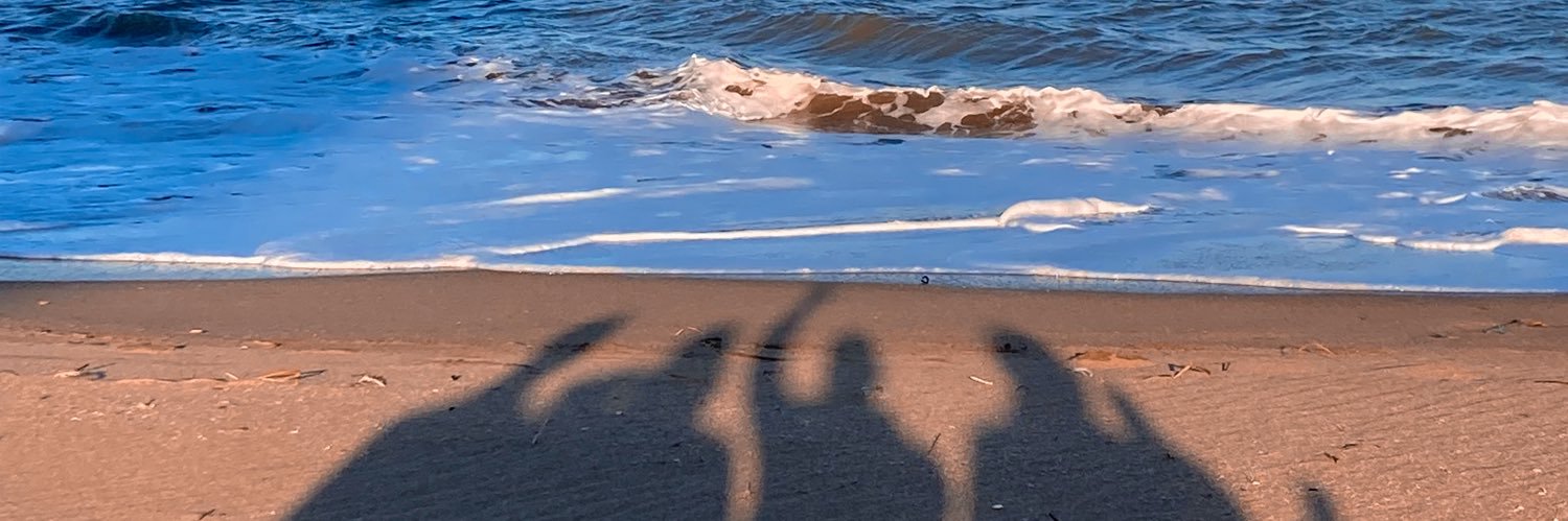 Braii_43's profile banner image