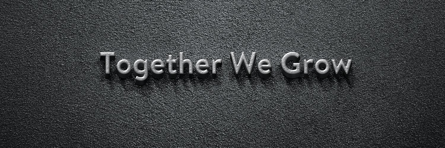 W.L.I. Capital banner