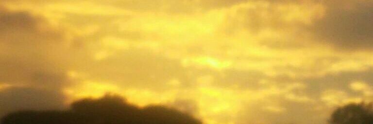 M_M14 👷 banner
