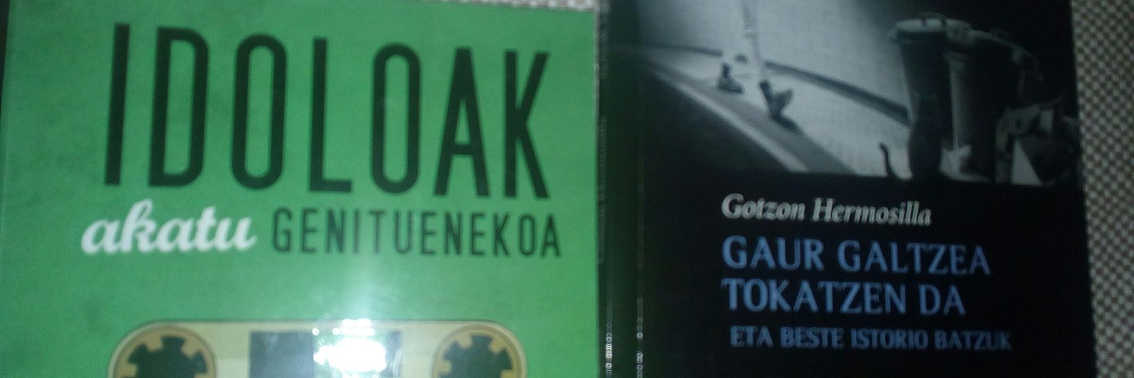 Gotzon Hermosilla banner