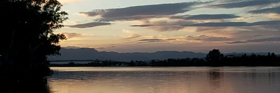 Joan Castor Gonell banner