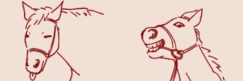 mjpk10ki's profile banner image