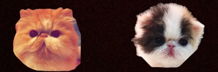 _Amjadk's profile banner image