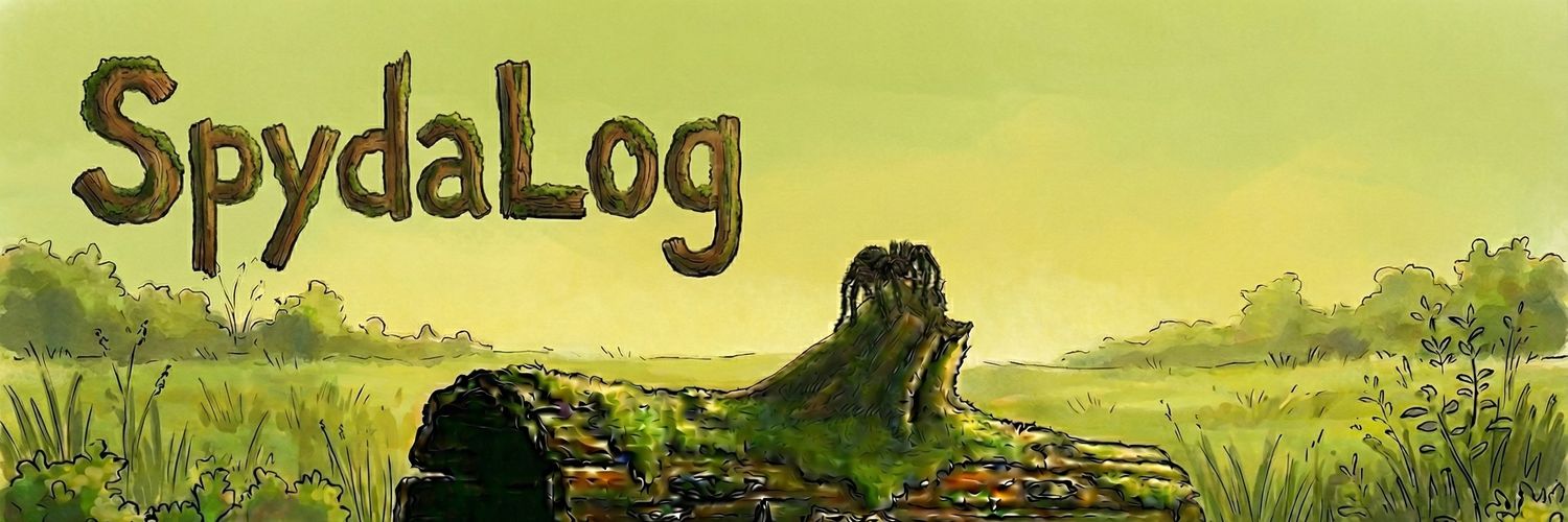 SpydaLog banner