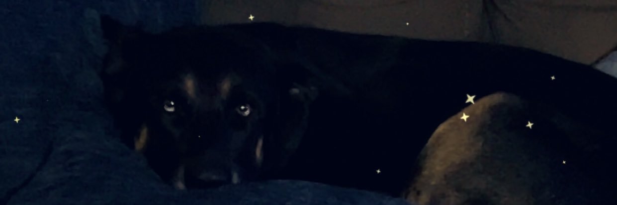 AprilleShellie's profile banner image