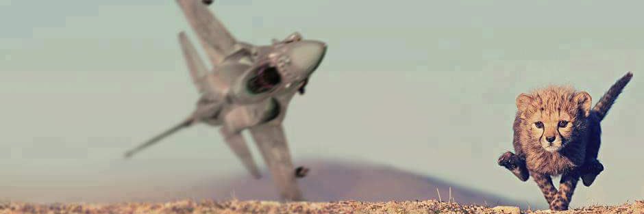 ShockedVertigo's profile banner image