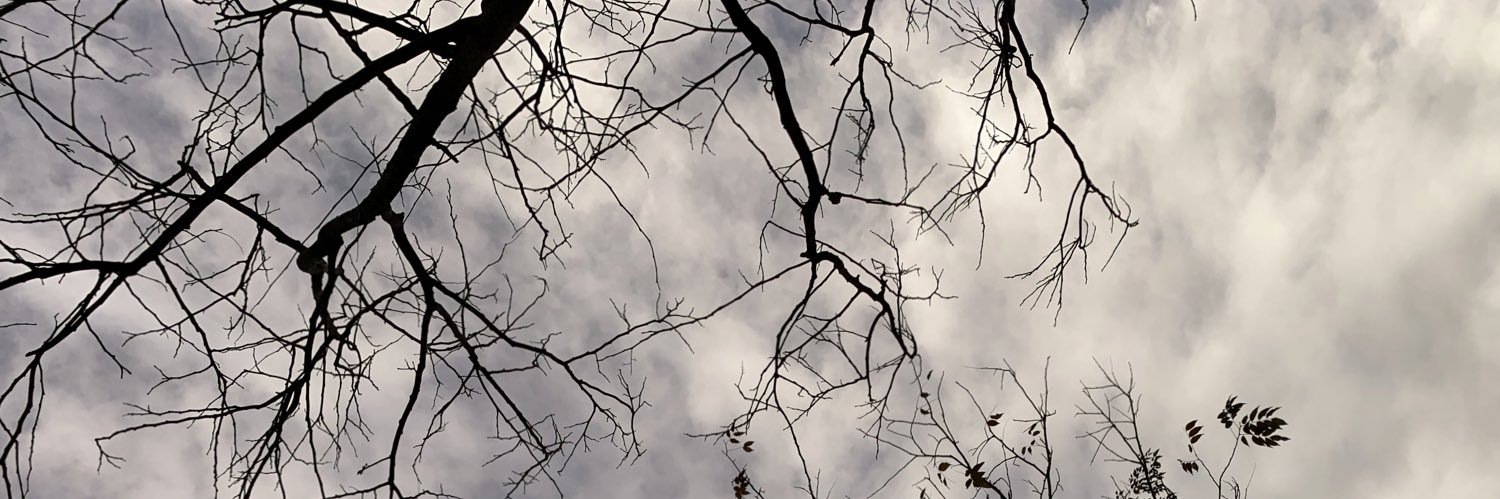 muhanikka's profile banner image