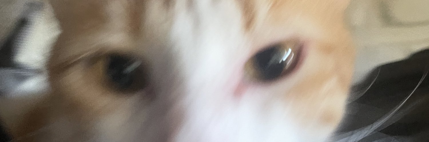 plzzzkeeptrying's profile banner image
