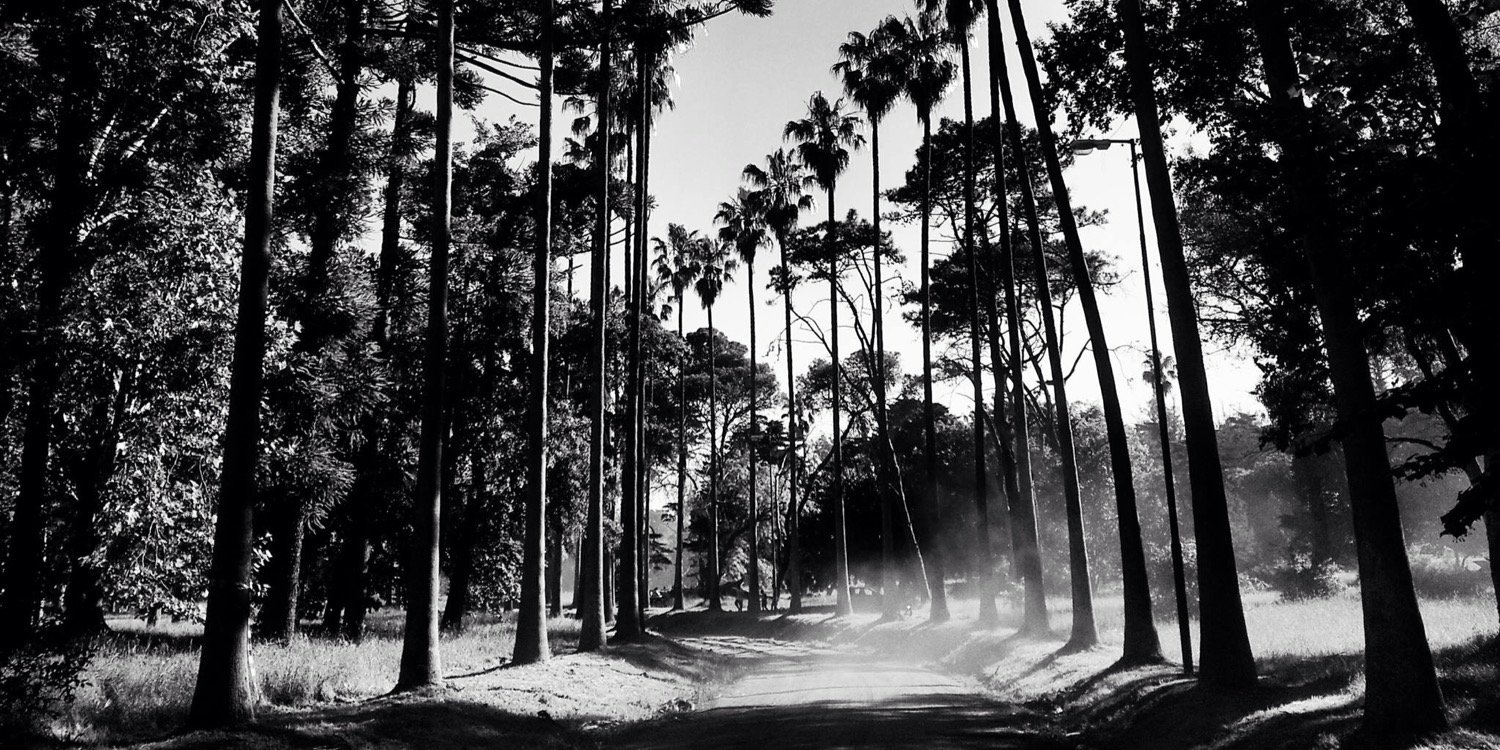 Valentin Abelardo banner