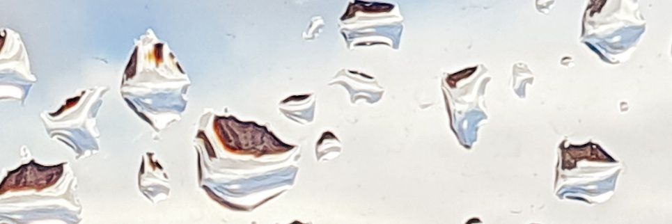 xe_lis's profile banner image