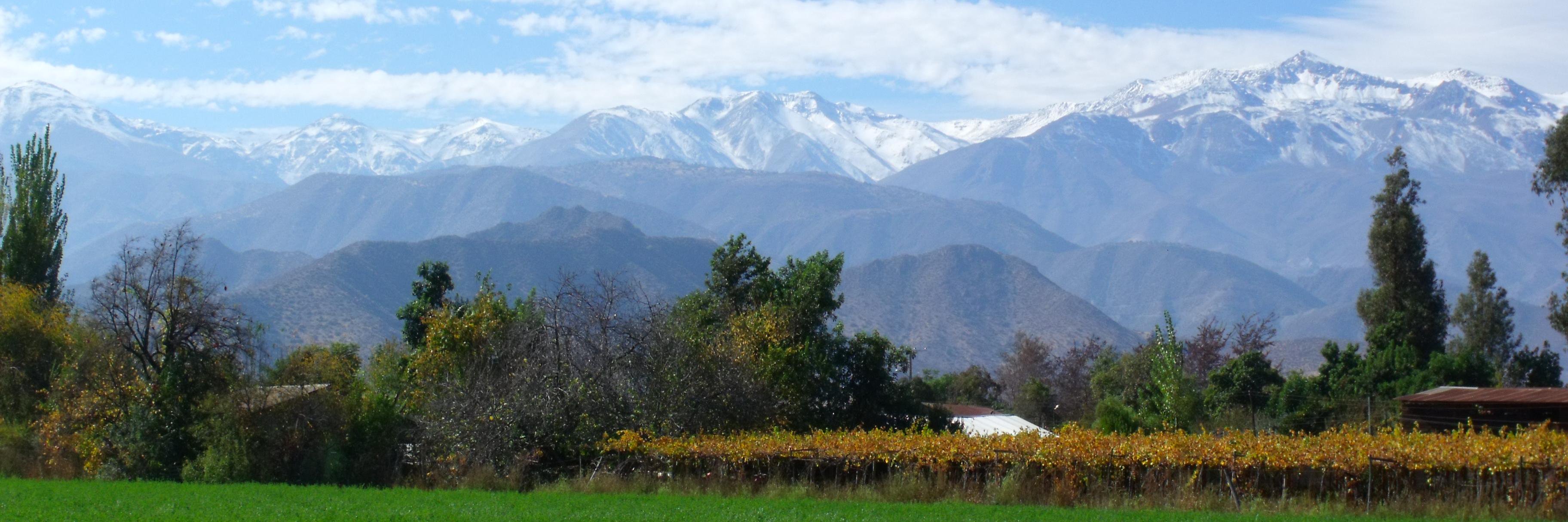 Cristián Paredes O. banner