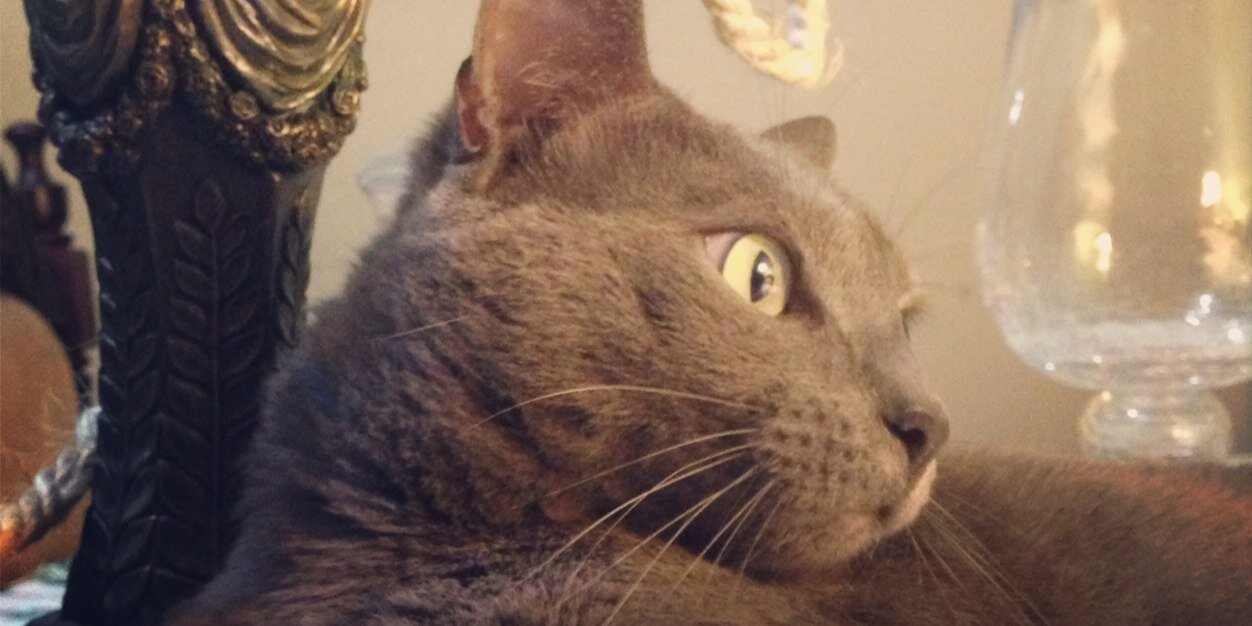 gabilaf's profile banner image