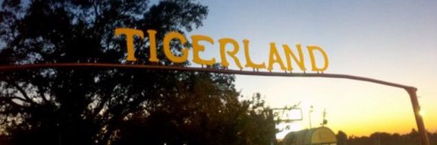 Grand Bebe Beckett banner