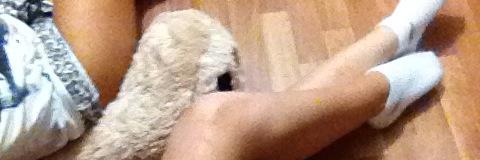 Елена Земскова banner