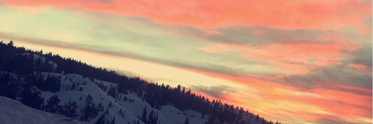steebbss's profile banner image