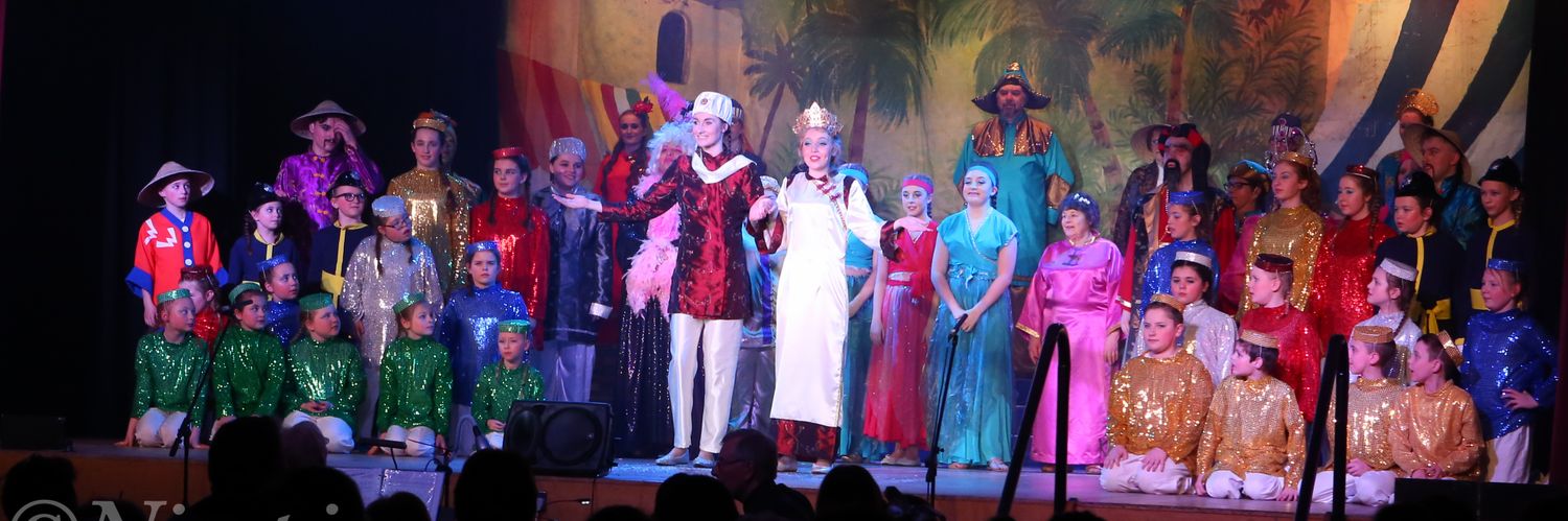 Shavington Pantomime banner