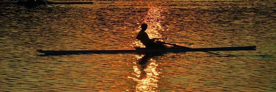 Albert Willem Knop banner
