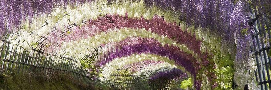 PATSEWS2's profile banner image