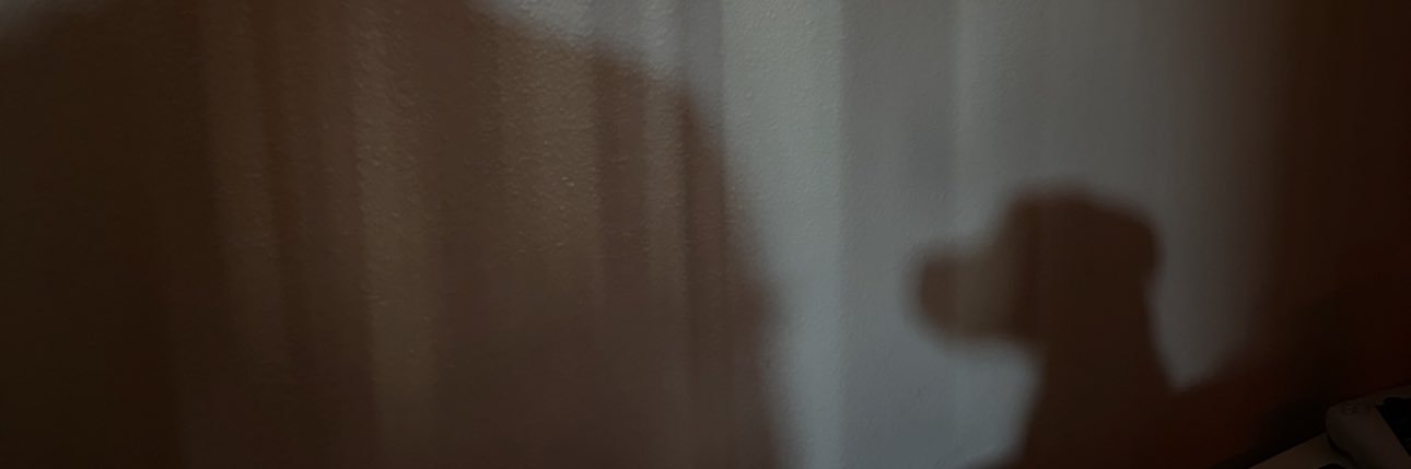 WAZEONE818's profile banner image