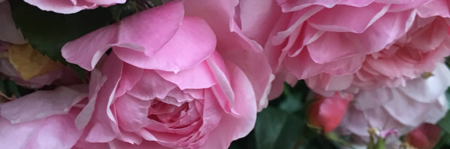 Compleat_Reader's profile banner image