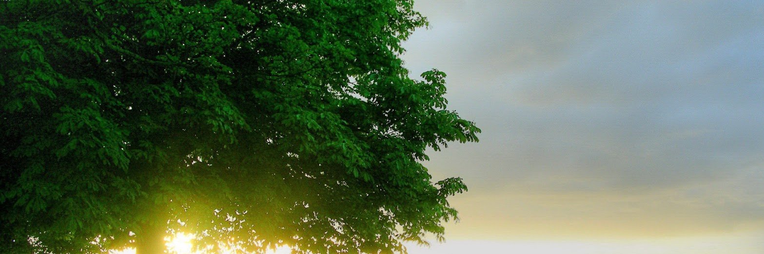 gkmen_ada's profile banner image