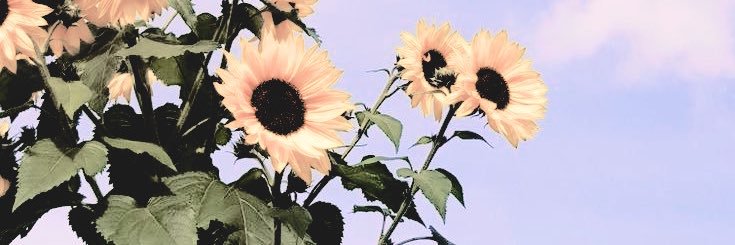 kayyy banner
