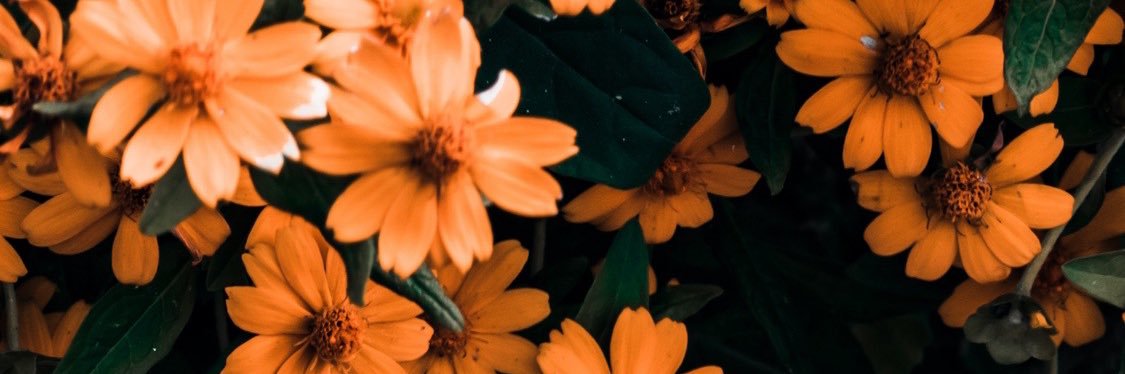 tmarshall77's profile banner image
