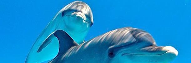 Gloriaa126's profile banner image