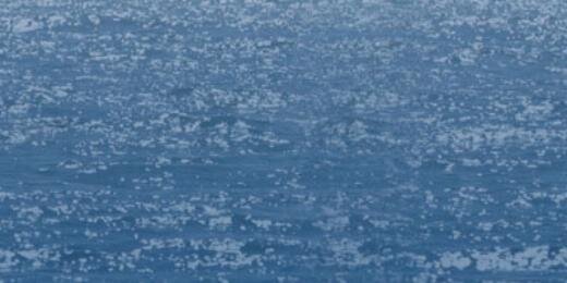 FloridaBoatingC's profile banner image