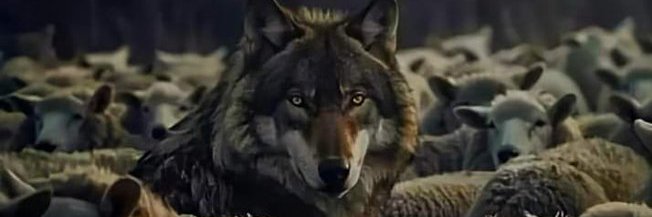Lobito's banner