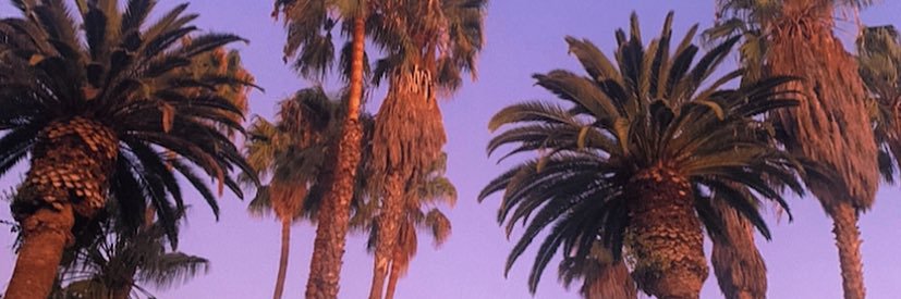 fontanafresh's profile banner image
