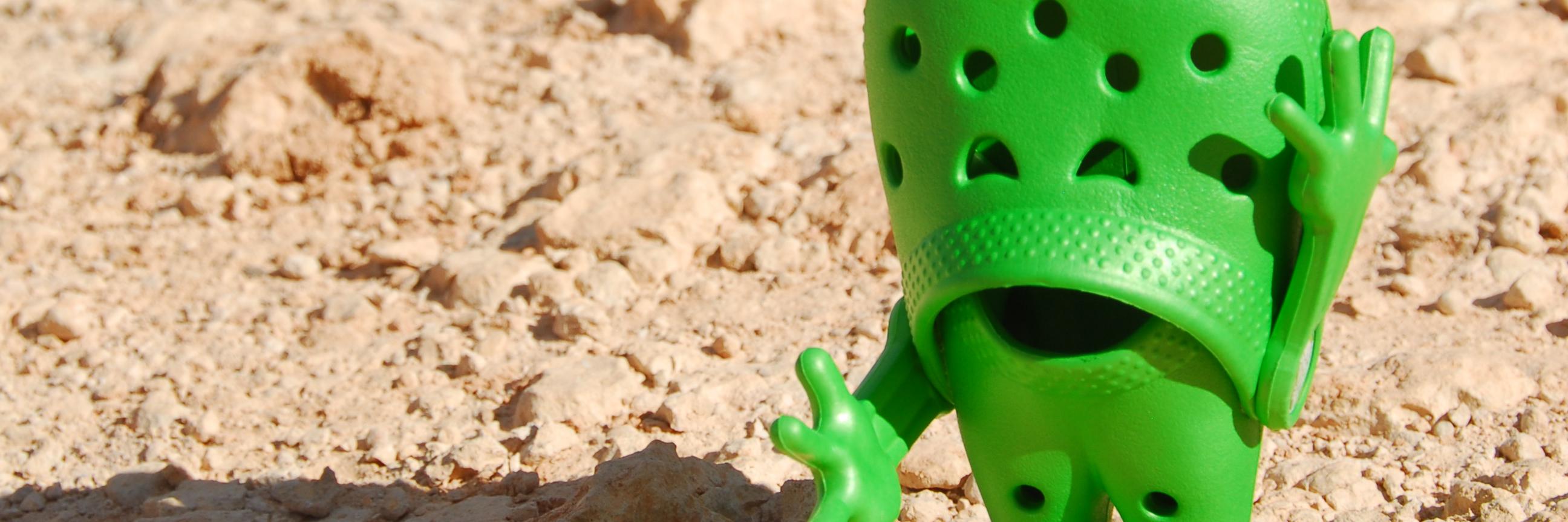 crocbiddy's profile banner image