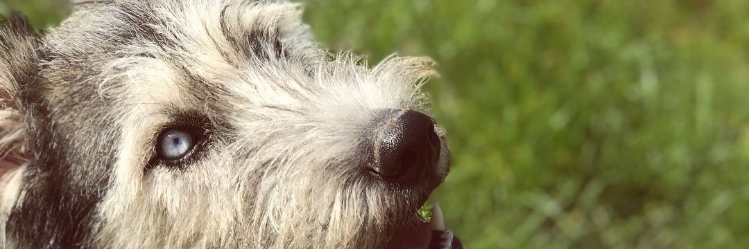 Miamackenzie_'s profile banner image
