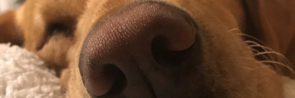 Mtreadwell3's profile banner image