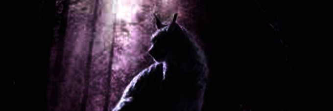 AcidzAngel's profile banner image