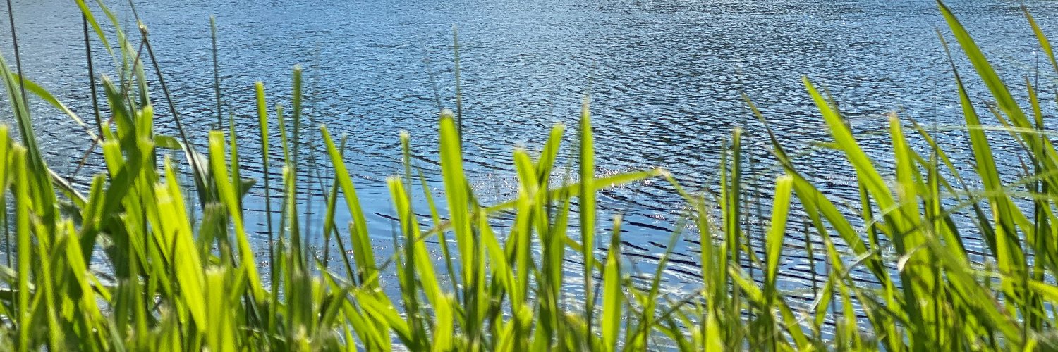 Fisher & Son Company banner