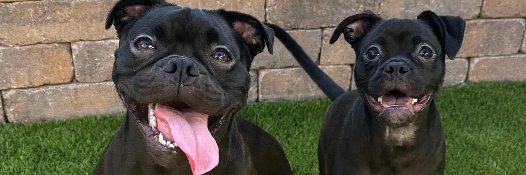 amyjaron8's profile banner image