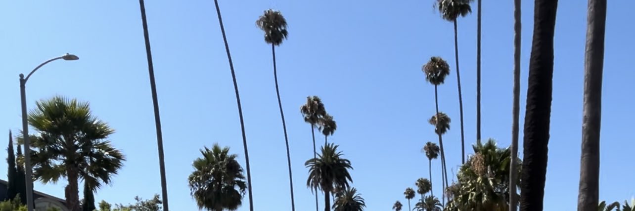 steAnna_Duh's profile banner image
