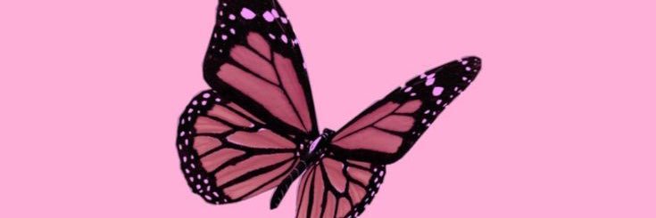 inspiredbygran's profile banner image