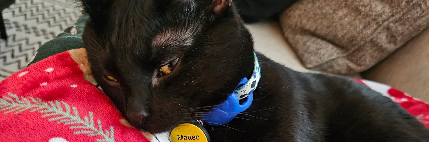 Katja banner