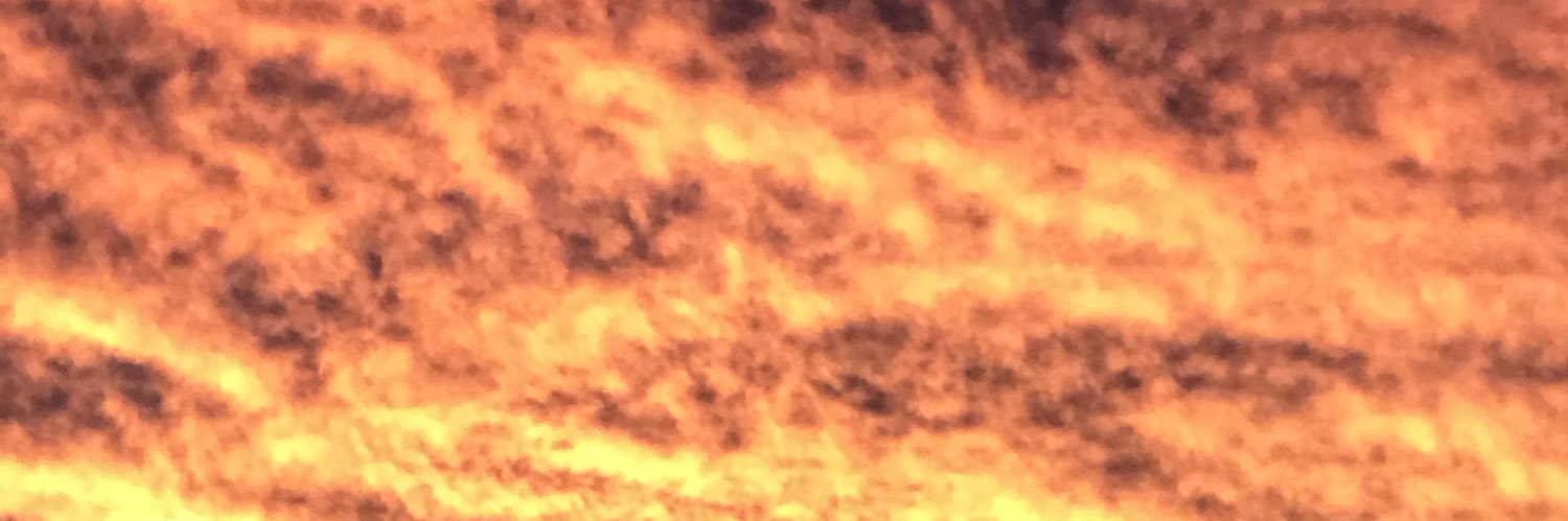 Erin Landsman banner