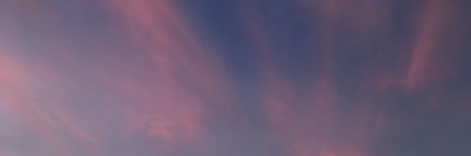 HooleeHoolee's profile banner image