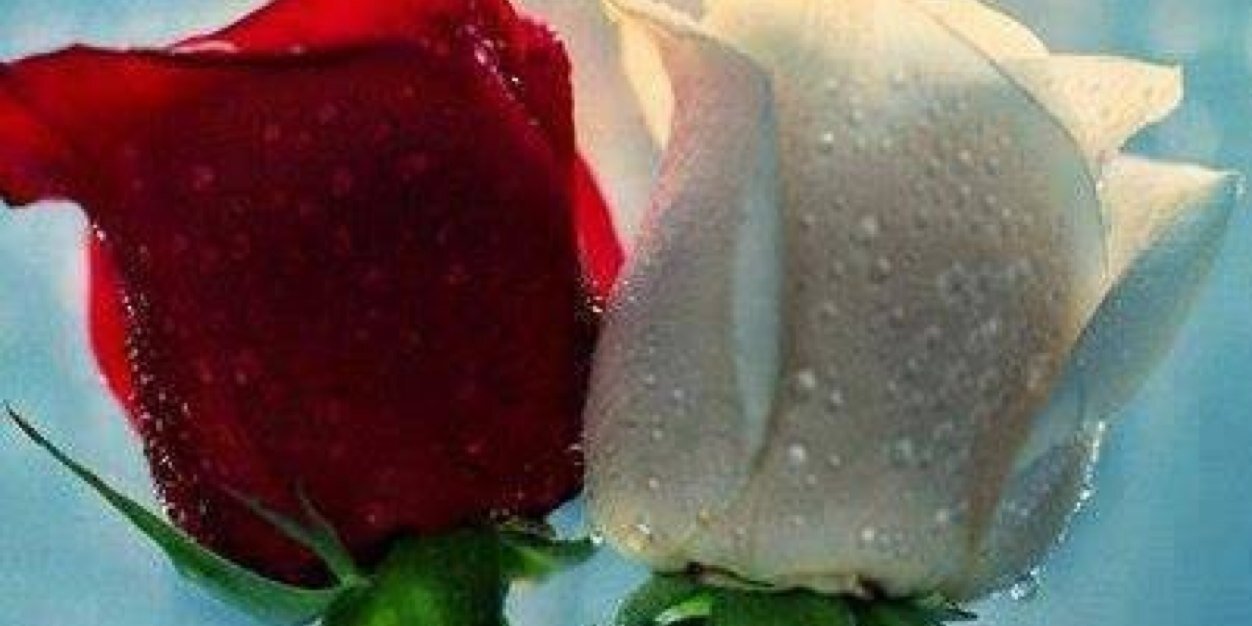 gbenitez382's profile banner image