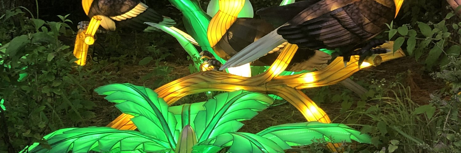 Chel_Leee's profile banner image