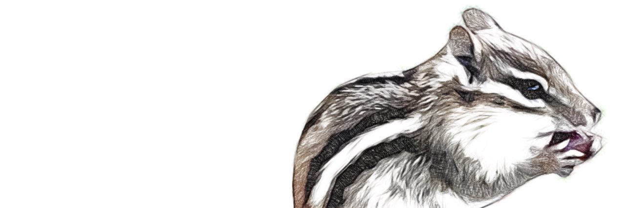 _Ghostlady_'s profile banner image