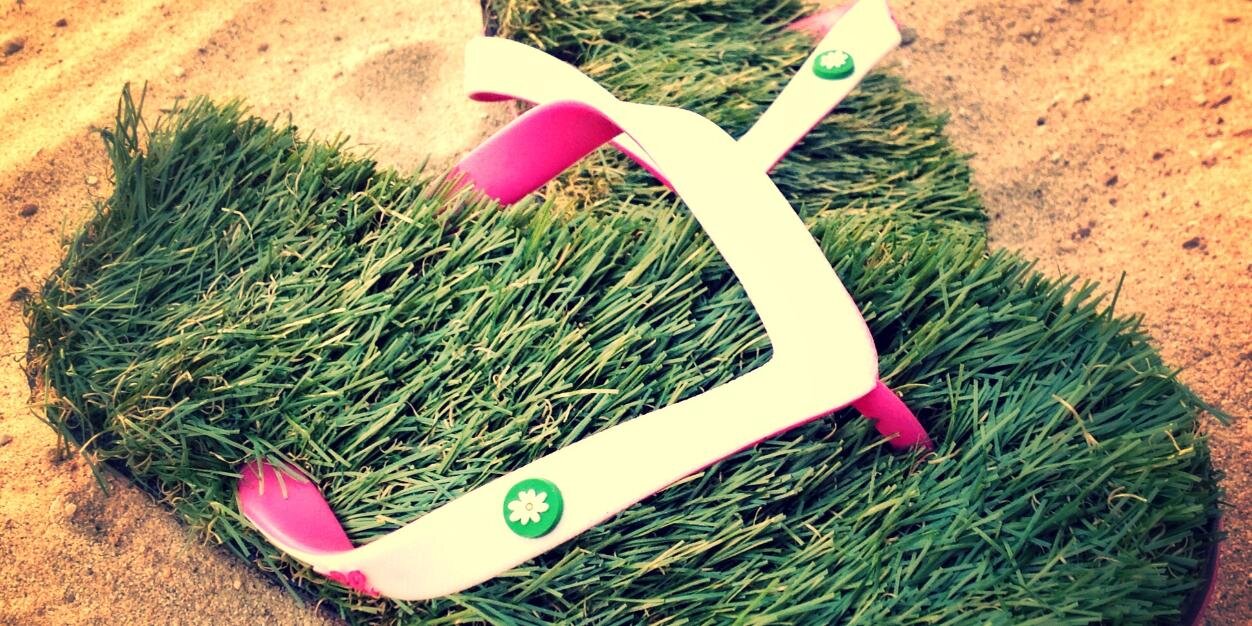 grassflipflops's profile banner image