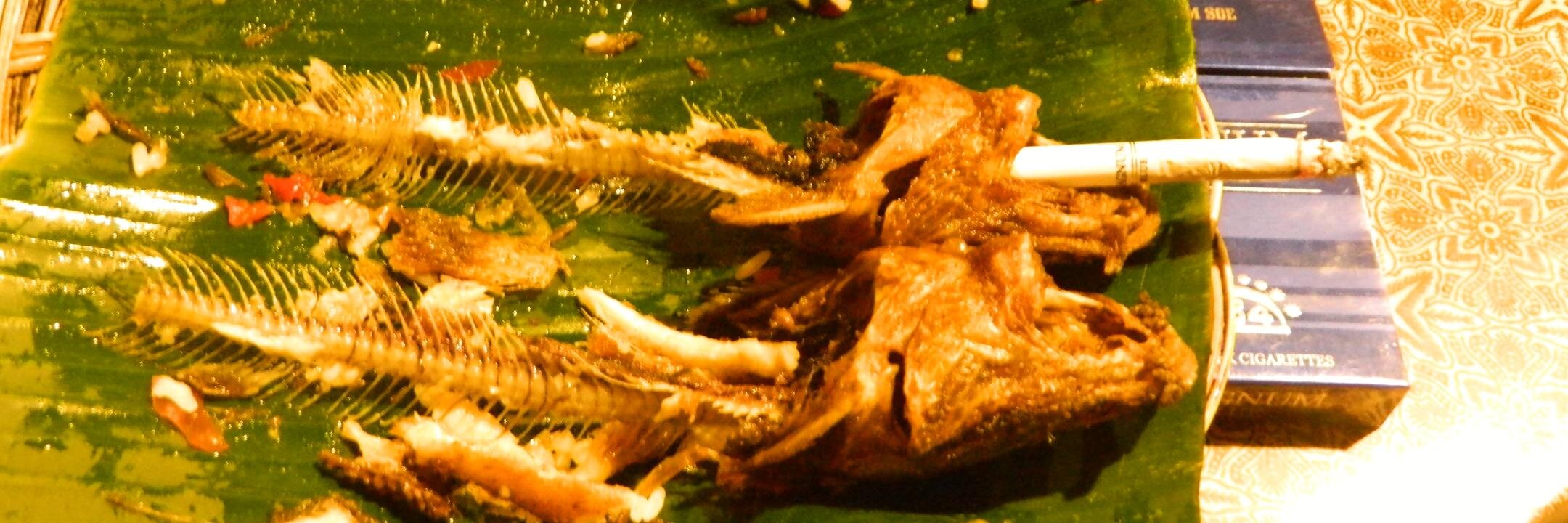haihaatafta's profile banner image