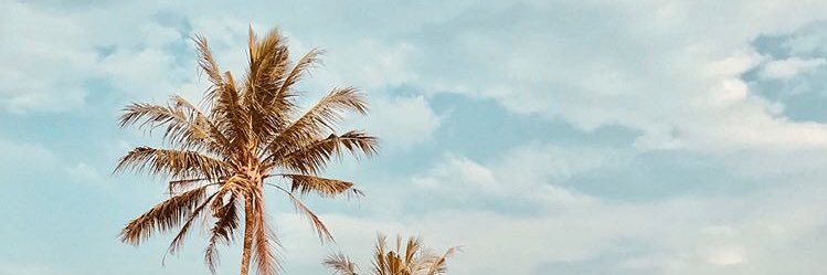 bimoyogaa's profile banner image
